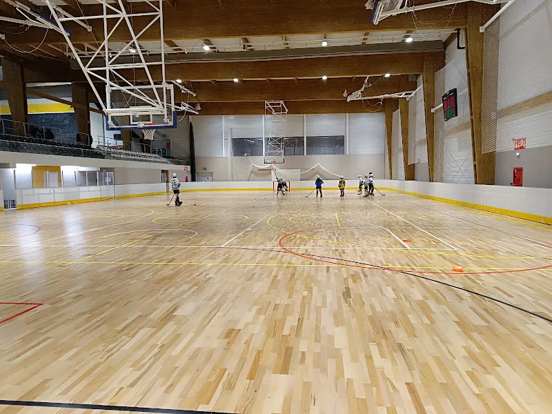 Complejo Deportivo Lezao - Polideportivo en Salvatierra/Agurain - foto 2