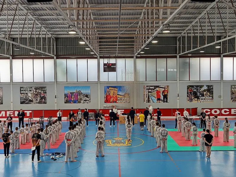 Polideportivo Municipal de Cocentaina - Polideportivo en Cocentaina - foto 3
