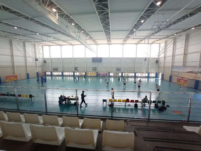 Polideportivo Pilar de la Horadada - Polideportivo en Pilar de la Horadada - foto 3