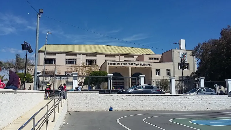 Pabellón Municipal de Deportes de Huércal-Overa - Polideportivo en Huercal-Overa - foto 2