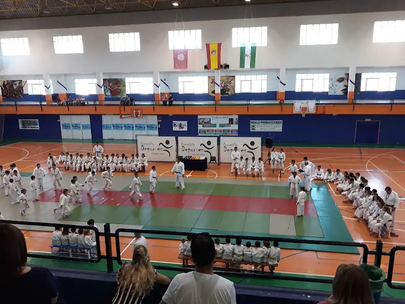 Pabellón Municipal de Deportes de Huércal-Overa - Polideportivo en Huercal-Overa - foto 3