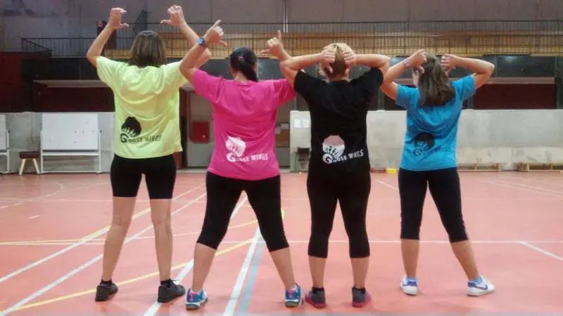Club de Bádminton Goose Wings - Escuela deportiva en Villanueva de la Torre - foto 2