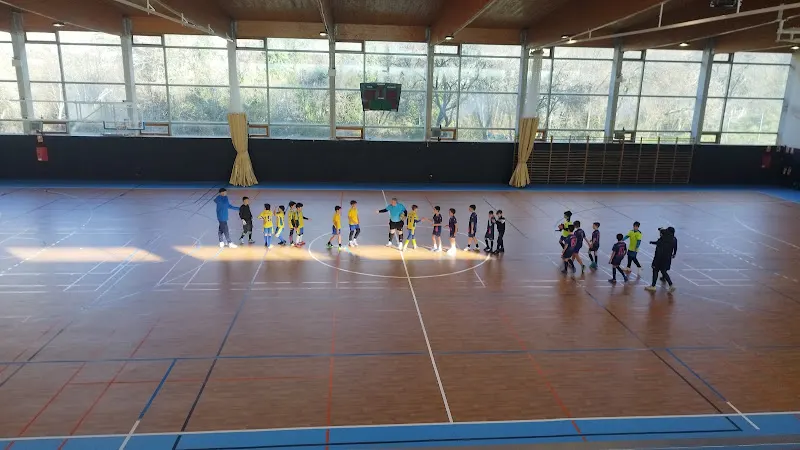Polideportivo Majalastablas - Polideportivo en Molinos (Los) - foto 2