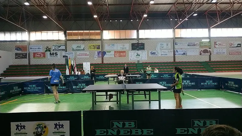 Polideportivo Municipal de Villafranca de los Barros - Polideportivo en Villafranca de los Barros - foto 2