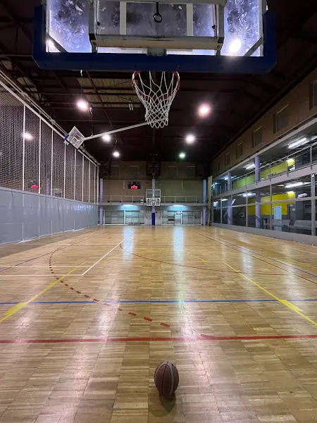 Polideportivo Municipal Montigalà - Polideportivo en Badalona - foto 2