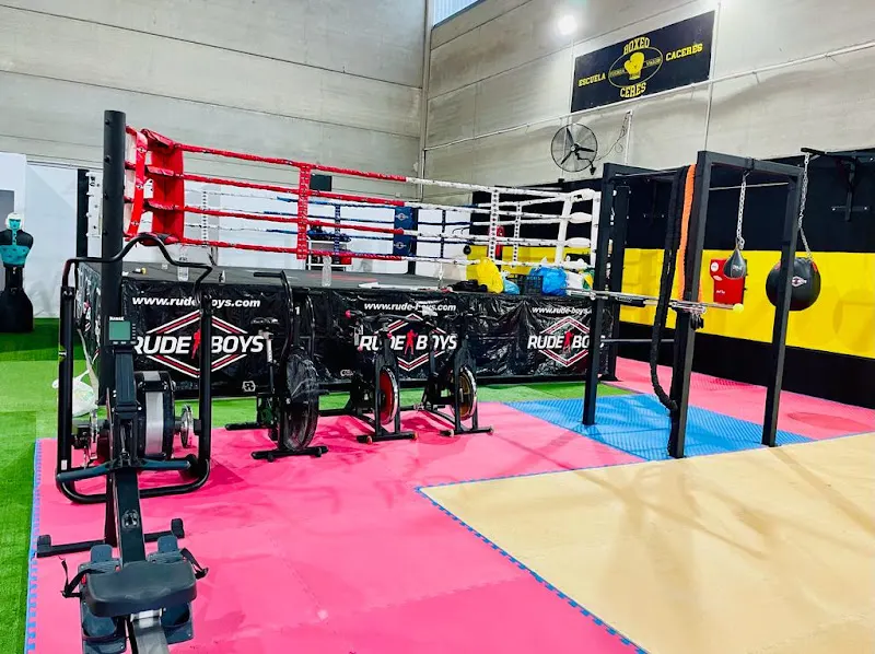 Escuela de Boxeo Ceres - Escuela de boxeo en Cáceres - foto 2