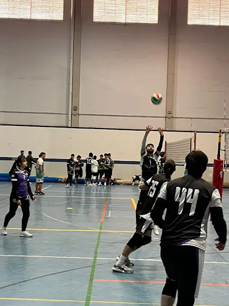 Polideportivo "Kiko Narváez" - Polideportivo en Jerez de la Frontera - foto 3