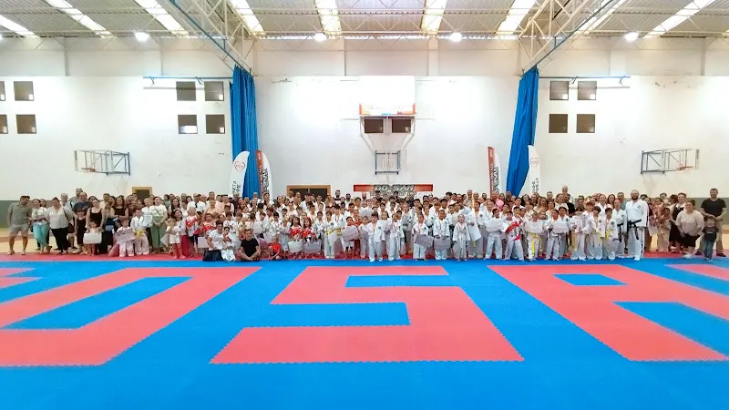 Pabellón Municipal Ciudad de San Roque - Polideportivo en San Roque - foto 2