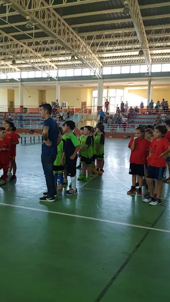 Polideportivo _Municipal - Polideportivo en Argamasilla de Calatrava - foto 2