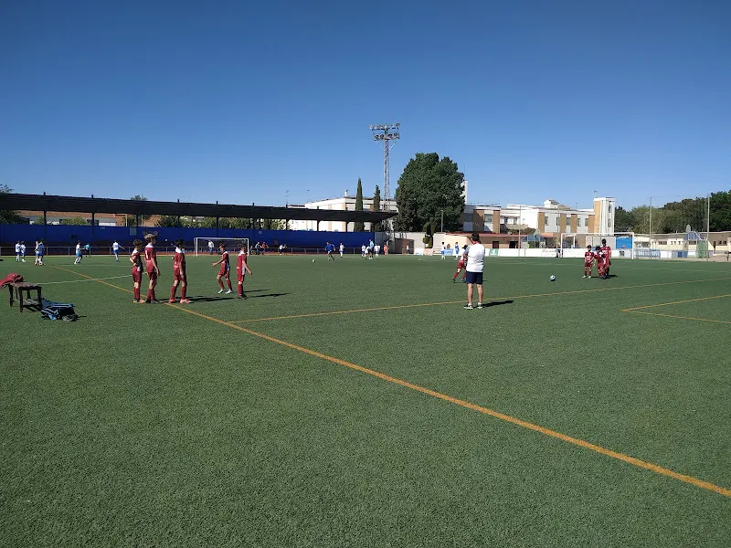 Complejo Deportivo El Carmen - Centro deportivo en Daimiel - foto 2