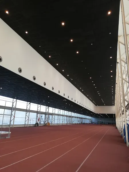 Centro de Especialidades Deportivas Javier Bermejo Merino - Polideportivo en Puertollano - foto 2