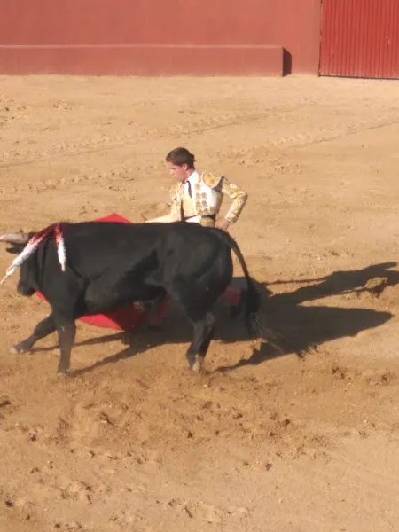 Complejo Deportivo de Altarejos - Centro deportivo en Altarejos - foto 2