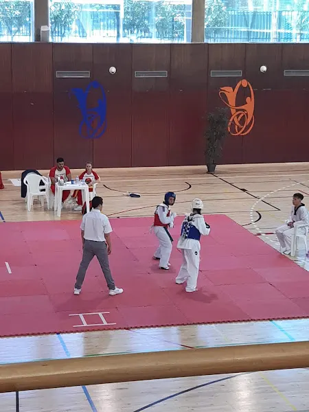 Instalación Deportiva Municipal Miguel Guillén Prim - Polideportivo en Madrid - foto 2