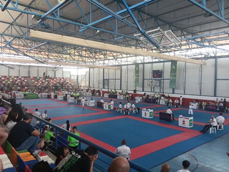 POLIDEPORTIVO MUNICIPAL LA DEHESA de Alovera. - Polideportivo en Alovera - foto 2
