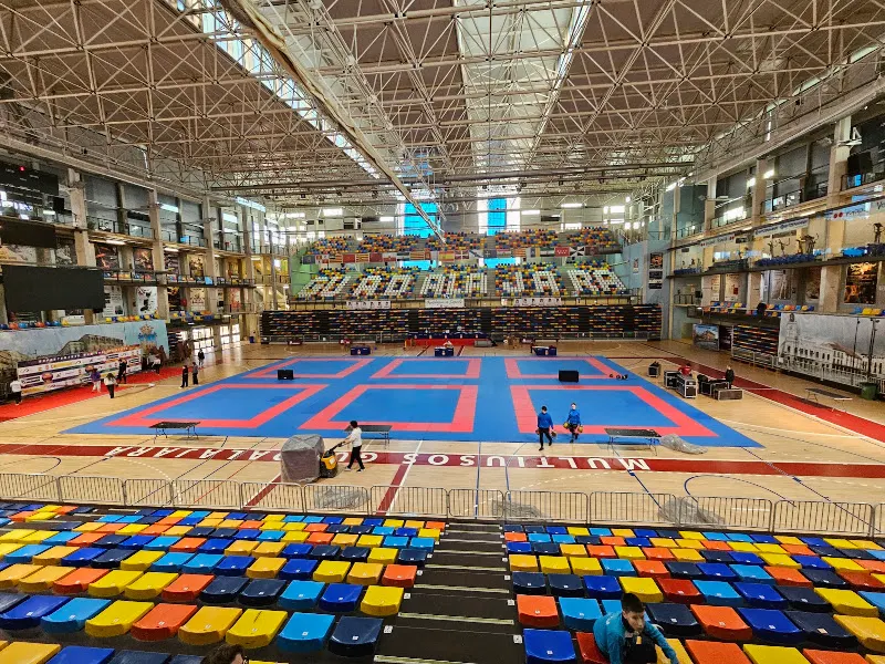 Palacio Multiusos de Guadalajara - Polideportivo en Guadalajara - foto 3