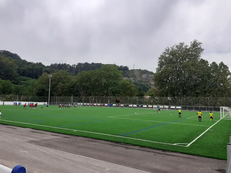 Zona de actividades Agorrosin - Bergara