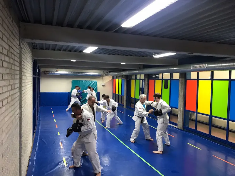 jiujitsu hernani - Polideportivo en Hernani - foto 2