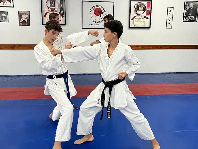 Club Kisoku - Escuela deportiva en Hondarribia - foto 2