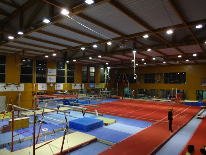 Centre de tecnificació esportiva Illes Balears - Polideportivo en Palma - foto 2