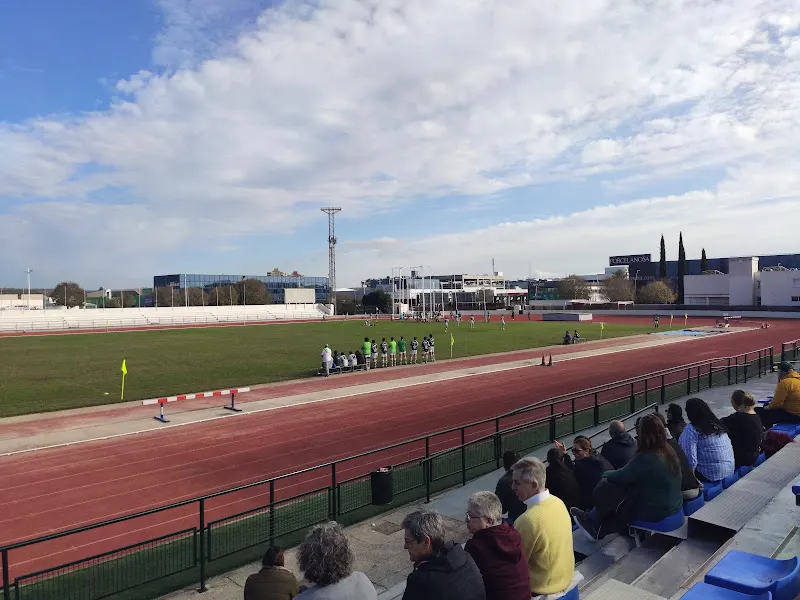 Centre de tecnificació esportiva Illes Balears - Polideportivo en Palma - foto 3