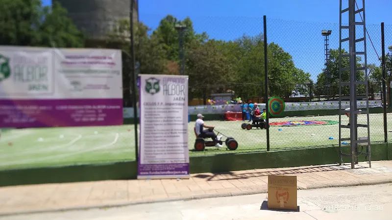 Patronato Municipal de Juventud y Deportes de Baeza - Centro deportivo en Baeza - foto 2