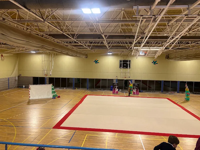 Sociedad Municipal de Deportes - Polideportivo en Santa Brigida - foto 2