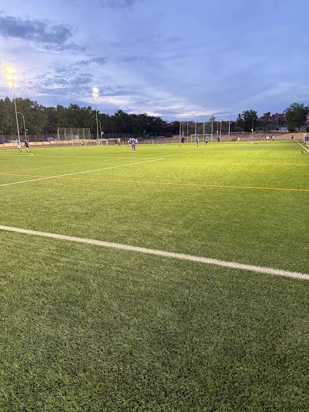 Centro Deportivo Municipal Wilfred Agbonavbare