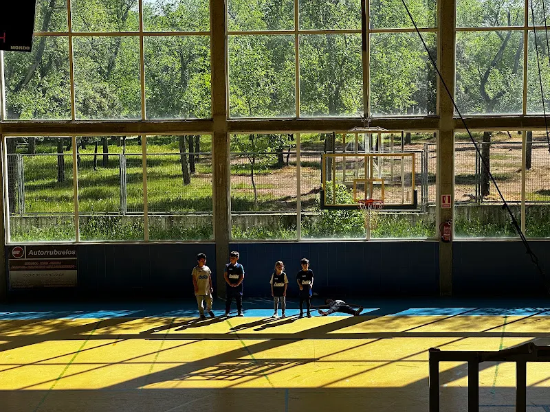 Polideportivo Municipal el Prado - Casarrubuelos