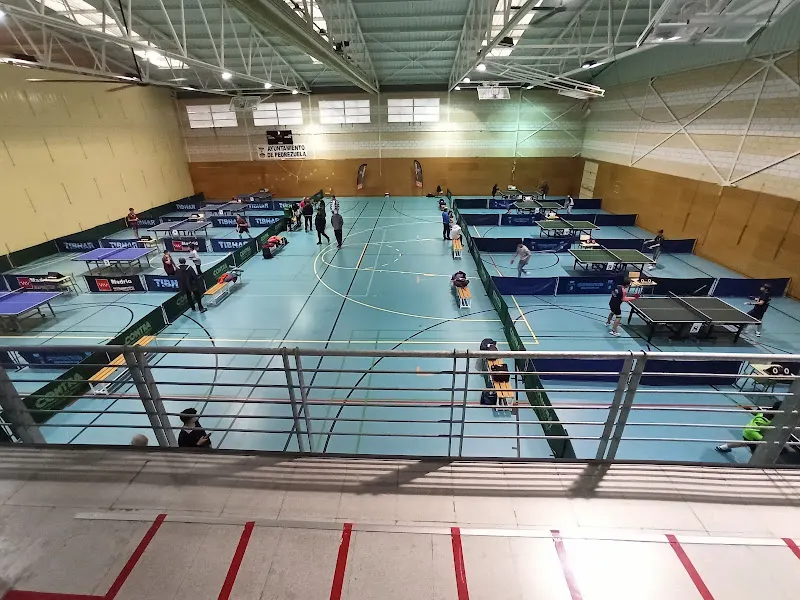 Polideportivo Municipal - Polideportivo en Pedrezuela - foto 2