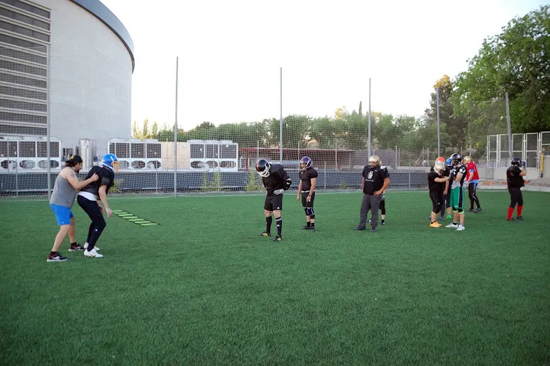 Pinto Goldbats - Club deportivo en Pinto - foto 2