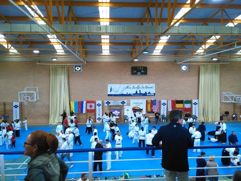Pabellón Polideportivo Cubierto Adolfo Suárez - Polideportivo en Sevilla la Nueva - foto 2