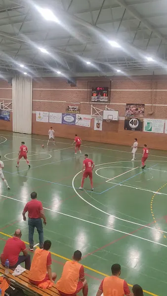 Pabellón Deportivo El Palmar - Polideportivo en Murcia - foto 2