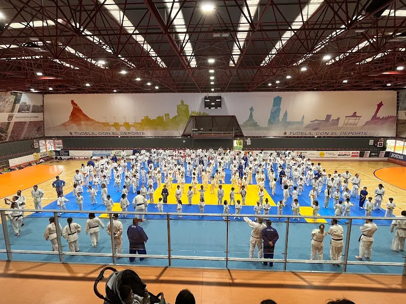 Polideportivo Ciudad de Tudela - Centro deportivo en Tudela - foto 2