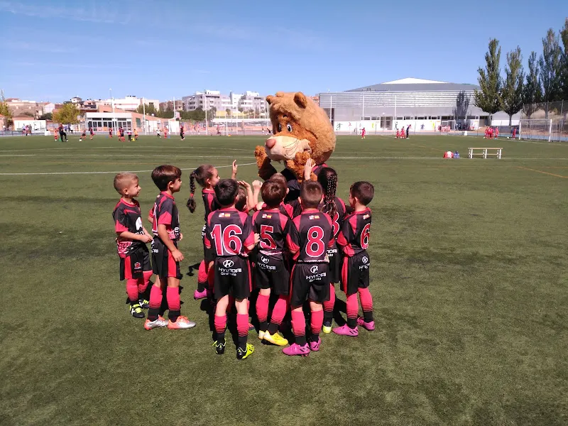 C.D. Sporting Carbajosa - Club deportivo en Carbajosa de la Sagrada - foto 2
