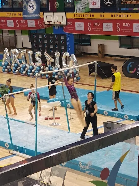Club Deportivo Gimnástico Sur - Club deportivo en Sevilla - foto 2