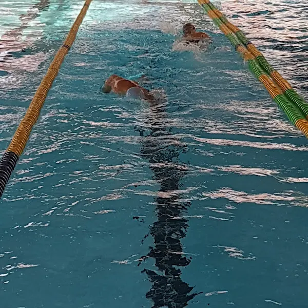 Polideportivo Fuente del Rey - Soria