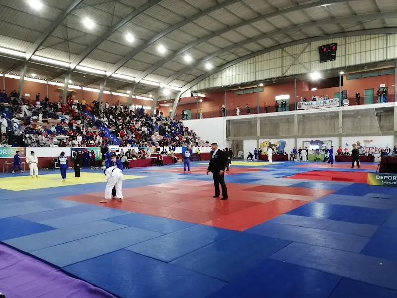 Pabellón Municipal De Deportes Los Hinojeros - Polideportivo en Granadilla de Abona - foto 2
