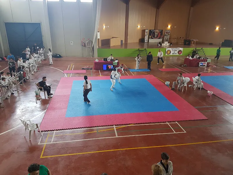 Pabellón Municipal de Alfambra - Centro deportivo en Alfambra - foto 2
