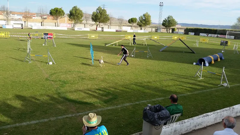 Pabellón Polideportivo Municipal - Polideportivo en Calamocha - foto 2