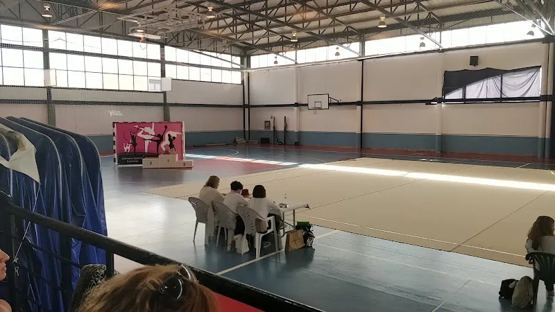 Polideportivo Clavileño - Centro deportivo en Esquivias - foto 2