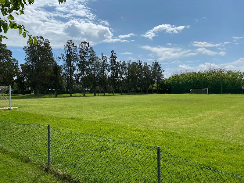 Club Deportivo Saladar - Club deportivo en Silla - foto 3