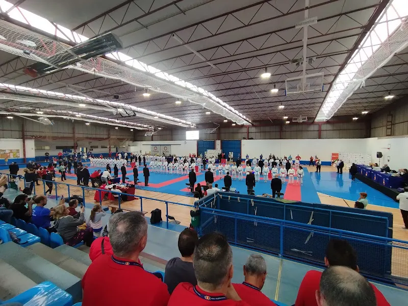 Polideportivo Municipal de Ortuella - Polideportivo en Ortuella - foto 2