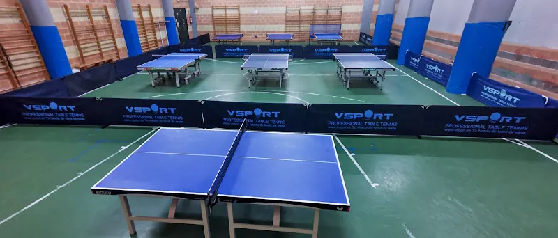 Club Deportivo Viriato Tenis De Mesa
