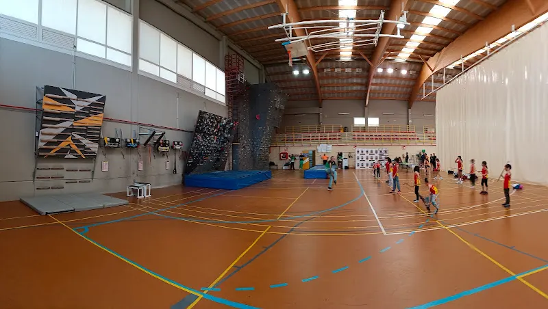 Pabellon deportivo de Alfajarin - Polideportivo en Alfajarin - foto 2