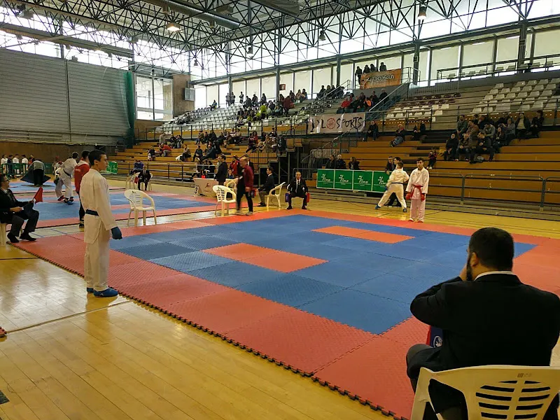 Pabellón Universitario de Albacete - Polideportivo en Albacete - foto 2