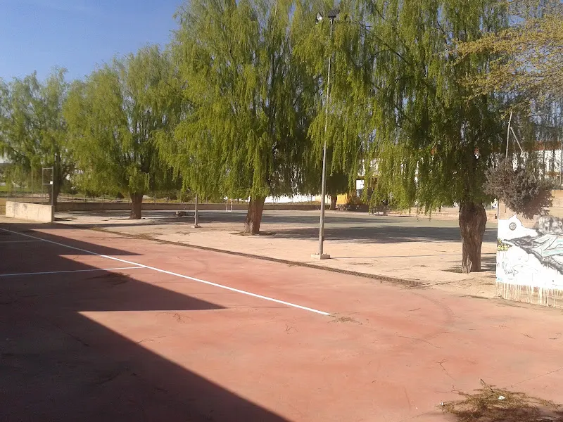 Polideportivo Municipal - Polideportivo en Alborea - foto 2