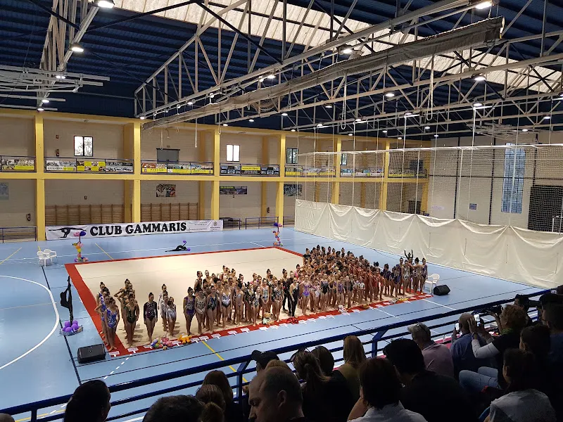 Pabellón Polideportivo de Cox - Polideportivo en Cox - foto 2