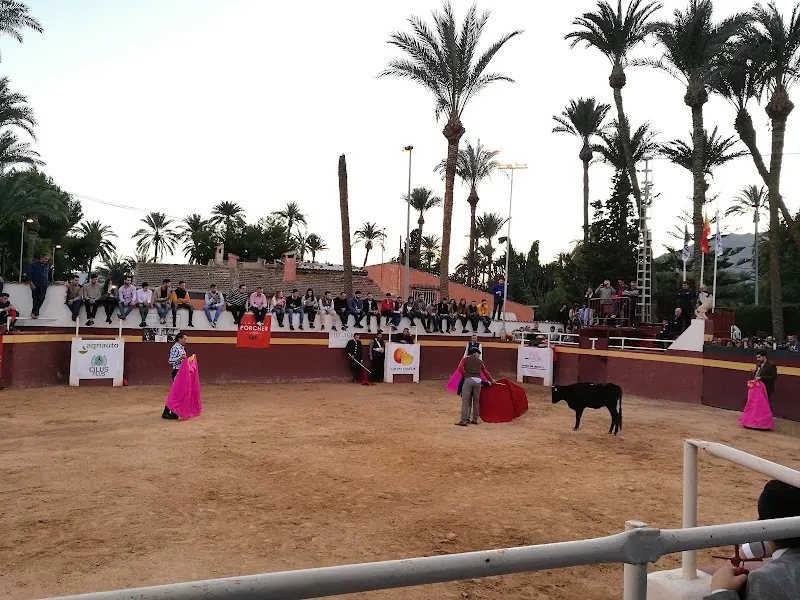 CLUB DEPORTIVO Y SOCIAL ORCELIS en Orihuela