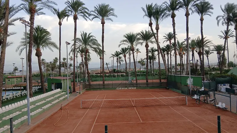 CLUB DEPORTIVO Y SOCIAL ORCELIS - Club de tenis en Orihuela - foto 2