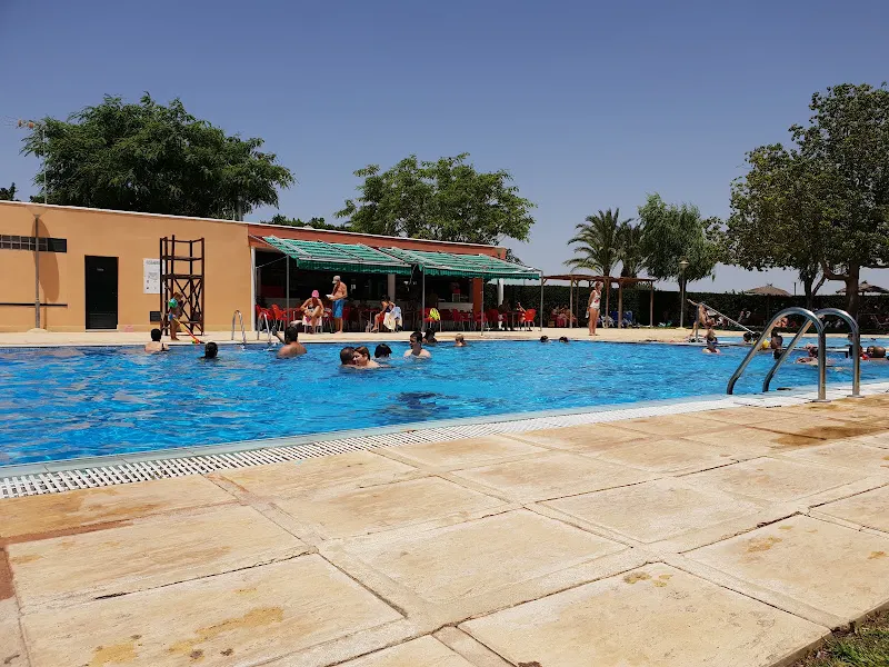 Polideportivo San Fulgencio Alicante, Estadio Nuevo Cañaveral